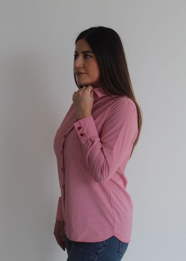 Alternative view of ANAHÍ